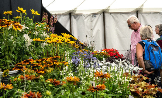 31st July 2024 - Sandringham Flower Show