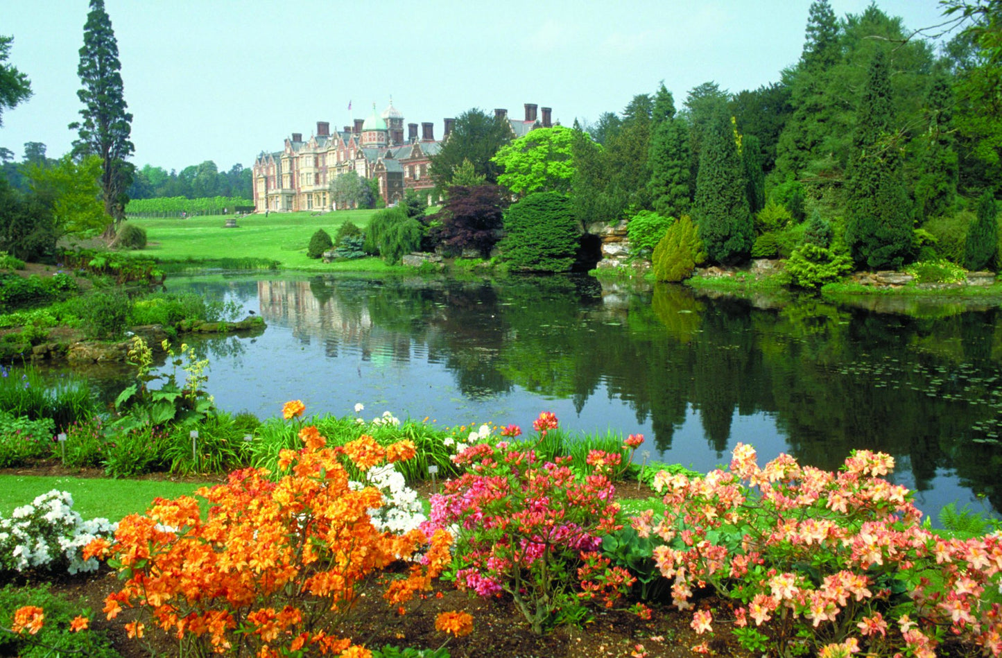 31st July 2024 - Sandringham Flower Show