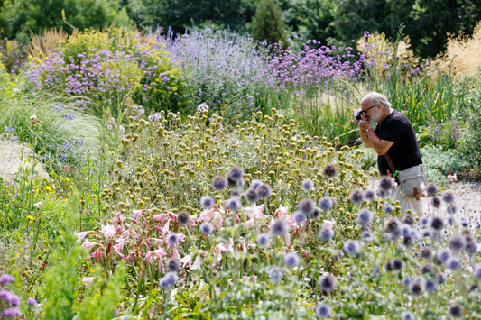 2nd August 2025 - Hyde Hall Flower Show