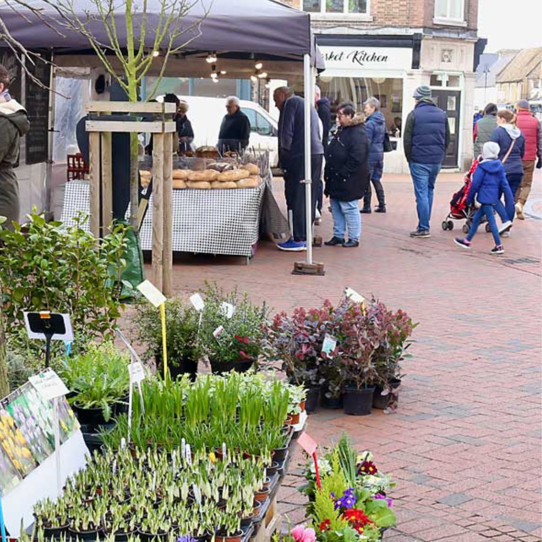 Thursday 28th March 2024 - Ely on Market Day/Welney
