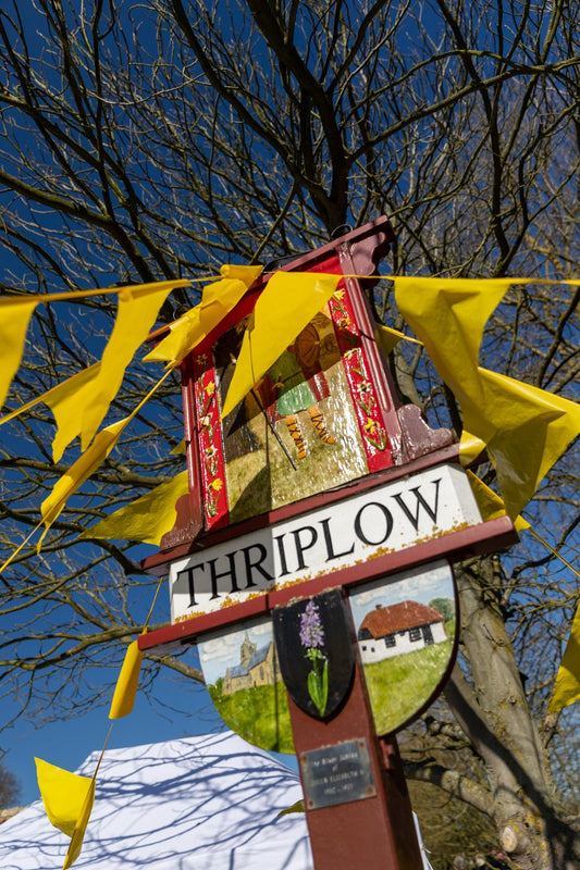 Sunday 17th March 2024 - Thriplow Daffodil Festival